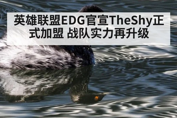 英雄联盟EDG官宣TheShy正式加盟 战队实力再升级