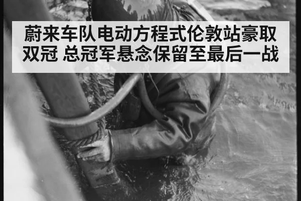 蔚来车队电动方程式伦敦站豪取双冠 总冠军悬念保留至最后一战